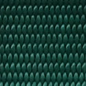 Green Webbing Sample Image