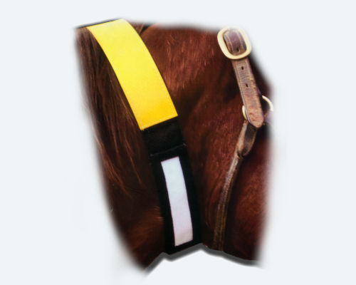 Horse Id Collar Image 01